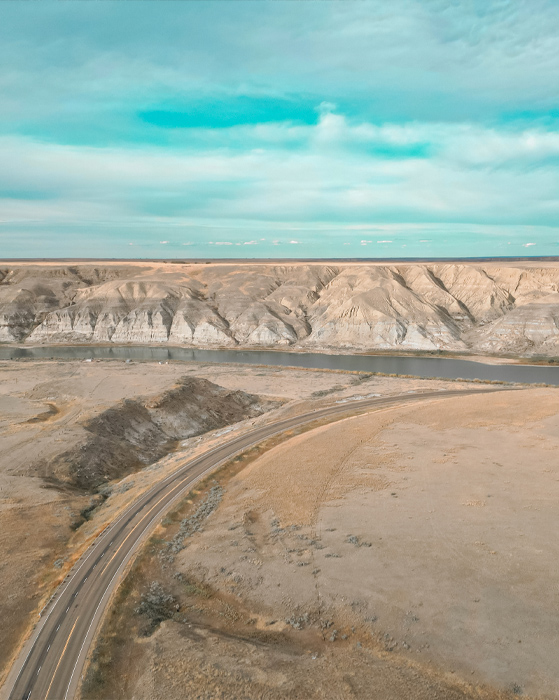 Landscape & Environmental
